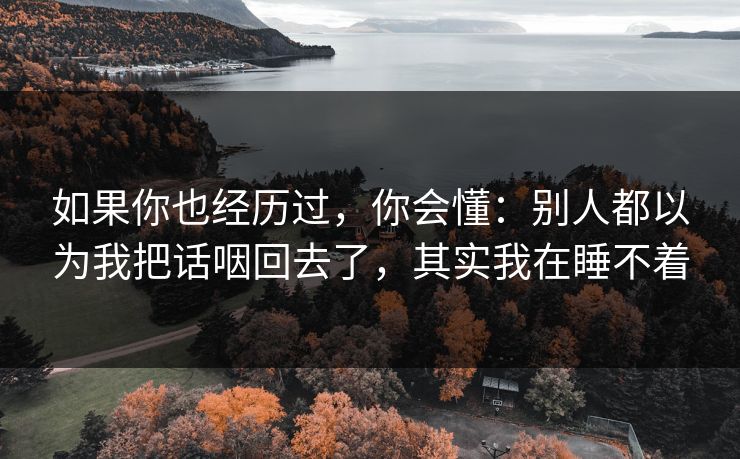 如果你也经历过，你会懂：别人都以为我把话咽回去了，其实我在睡不着