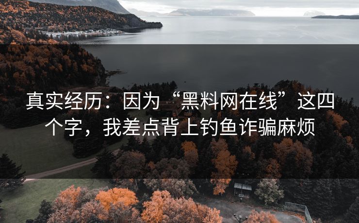 真实经历：因为“黑料网在线”这四个字，我差点背上钓鱼诈骗麻烦