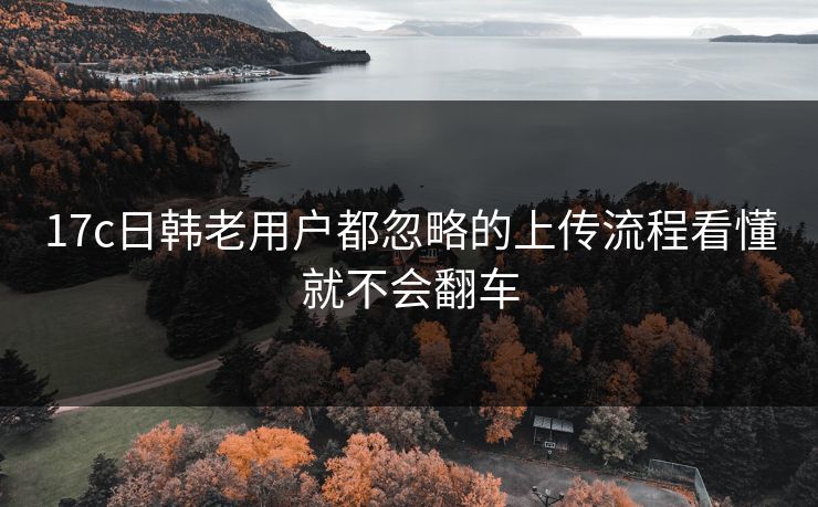 17c日韩老用户都忽略的上传流程看懂就不会翻车