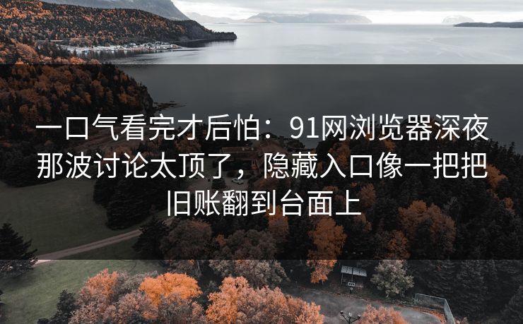 一口气看完才后怕：91网浏览器深夜那波讨论太顶了，隐藏入口像一把把旧账翻到台面上