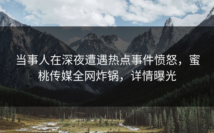 当事人在深夜遭遇热点事件愤怒，蜜桃传媒全网炸锅，详情曝光