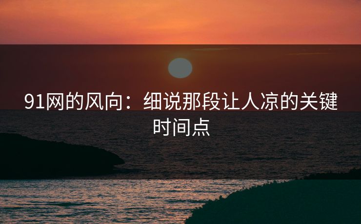 91网的风向：细说那段让人凉的关键时间点